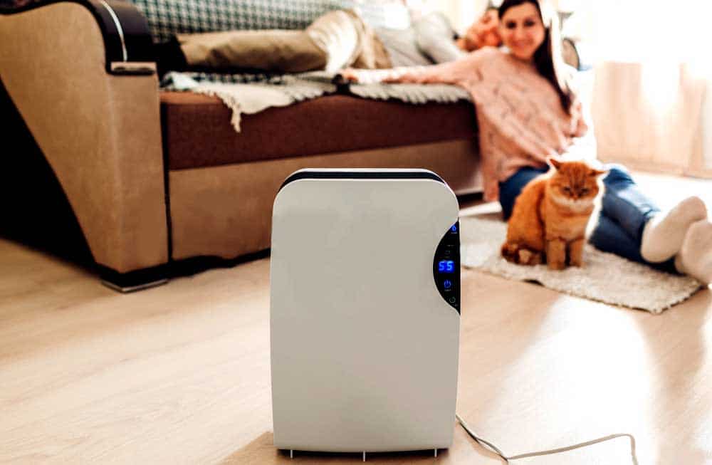 Best quiet dehumidifier for basement