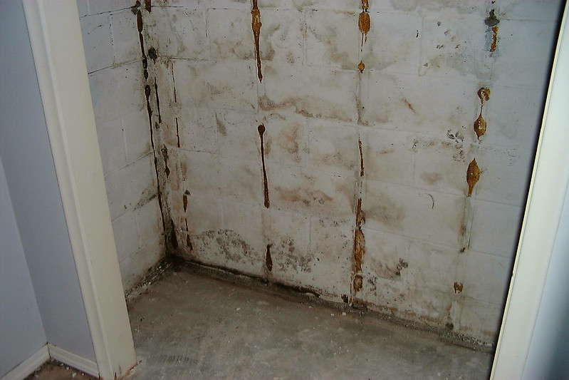Basement wall mold